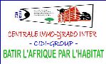 Une Afrique en construction!-CIDI-GROUP